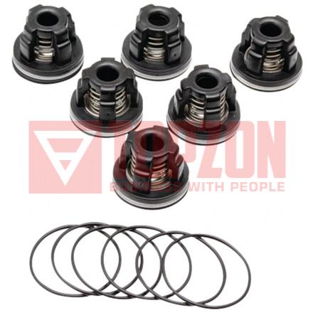 [TPZ00015360] SET 6 SUPAPE AR115